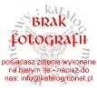 10 fenigów (miedź)