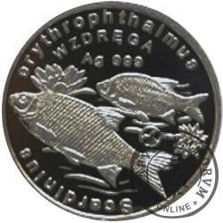 100 złotych rybek (Ag oksydowane) - XX emisja / WZDRĘGA