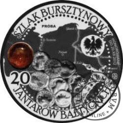 20 jantarów bałtyckich (BYDGOSZCZ) / WZORZEC PRODUKCYJNY DLA MONETY (miedź srebrzona oksydowana + bursztyn)