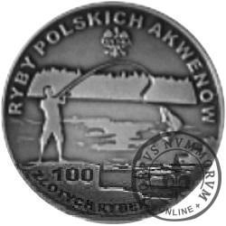 100 złotych rybek (Ag oksydowane) - XXVIII emisja / STRZELBA POTOKOWA