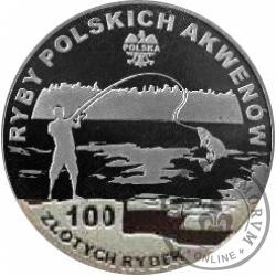 100 złotych rybek (Ag) - XXXII emisja / PSTRĄG ŹRÓDLANY st. lustrzany