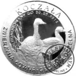 15 koczalaków (Koczała) XVII emisja / Typ 2 - GĘŚ BIAŁOCZELNA (srebro Ag.999)