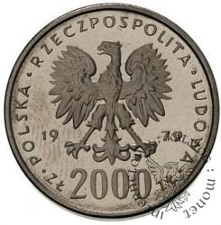 2000 złotych - Mieszko I półpostać
