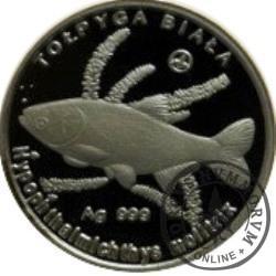 100 złotych rybek (Ag oksydowane) - XIX emisja / TOŁPYGA BIAŁA