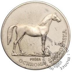 100 złotych - koń