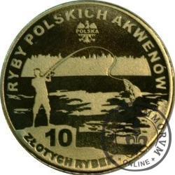 10 złotych rybek (mosiądz) - LII emisja / SŁONECZNICA