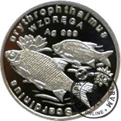 100 złotych rybek (Ag) - XX emisja / WZDRĘGA