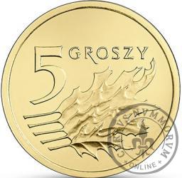 5 groszy