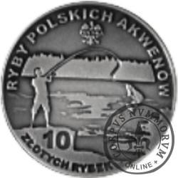 10 złotych rybek (alpaka oksydowana) - XXIII emisja / GŁOWACZ PRĘGOPŁETWY