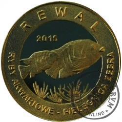 10 złotych rybek - Pomorze Zachodnie / Rewal ~ Pielęgnica zebra (II emisja - mosiądz patynowany)