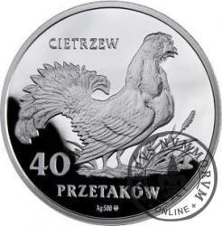 40 przetaków - Cietrzew