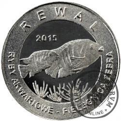 10 złotych rybek - Pomorze Zachodnie / Rewal ~ Pielęgnica zebra (II emisja - aluminium)