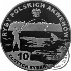 10 złotych rybek (alpaka) - XXX emisja / ŚLIZ POSPOLITY