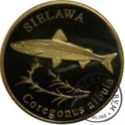 10 złotych rybek (mosiądz patynowany) - XLVI emisja / SIELAWA