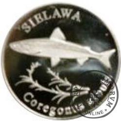 10 złotych rybek (alpaka) - XLVI emisja / SIELAWA