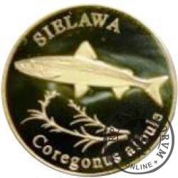 10 złotych rybek (mosiądz) - XLVI emisja / SIELAWA