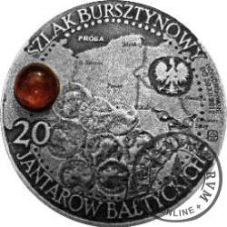 20 jantarów bałtyckich (ELBLĄG) / WZORZEC PRODUKCYJNY DLA MONETY (miedź srebrzona oksydowana + bursztyn)