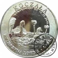 15 koczalaków (Koczała) XXII emisja / Typ 2 - ŁYSKA (alpaka)