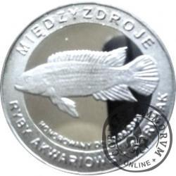 10 złotych rybek - Pomorze Zachodnie / Międzyzdroje ~ Barwiak (V emisja - aluminium)