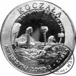 15 koczalaków (Koczała) XXII emisja / Typ 2 - ŁYSKA (srebro Ag.999)