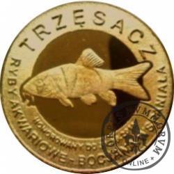 10 złotych rybek - Pomorze Zachodnie / Trzęsacz ~ Bocjana wspaniała (VIII emisja - mosiądz patynowany)