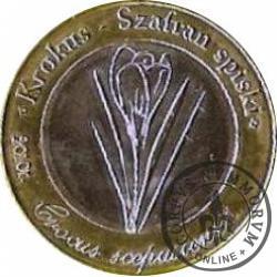 10 dutków zakopiańskich - Krokus spiski (IV emisja)