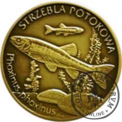 10 złotych rybek (mosiądz patynowany) - XXVIII emisja / STRZELBA POTOKOWA