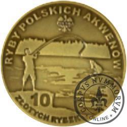 10 złotych rybek (mosiądz patynowany) - LVII emisja / MINÓG RZECZNY