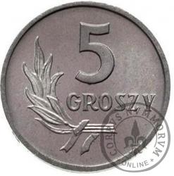 5 groszy