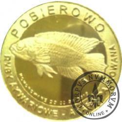 10 złotych rybek - Pomorze Zachodnie / Pobierowo ~ Akara paskowana (X emisja - mosiądz pozłacany)