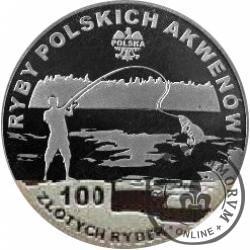 100 złotych rybek (Ag) - XXXVIII emisja / CIERNIK