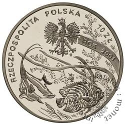 10 złotych -  M. Siedlecki