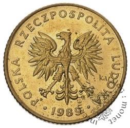 10 złotych