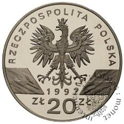 20 złotych - jelonek rogacz