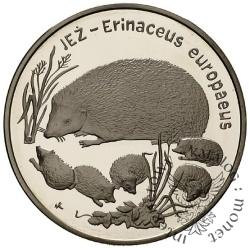 20 złotych - jeż