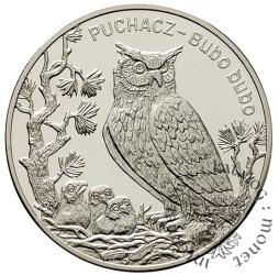 20 złotych - puchacz