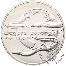 20 złotych - węgorz europejski