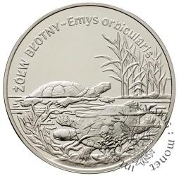 20 złotych - żółw błotny