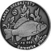 100 złotych rybek (Ag oksydowane) - XVIII emisja / KARAŚ SREBRZYSTY