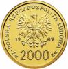 2000 złotych - Jan Paweł II