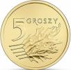 5 groszy