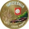 6 wrzosów - Września (GN z tampondrukiem)