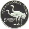 5 nurtów - ŻURAW (Ag)