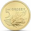 5 groszy