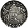 100 złotych rybek (Ag oksydowane) - XXVII emisja / RÓŻANKA