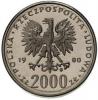 2000 złotych - skoczek narciarski