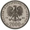 2000 złotych - biegacz narciarski