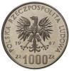1000 złotych - narciarz