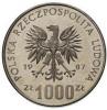 1000 złotych - narciarz