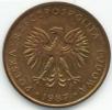 5 złotych